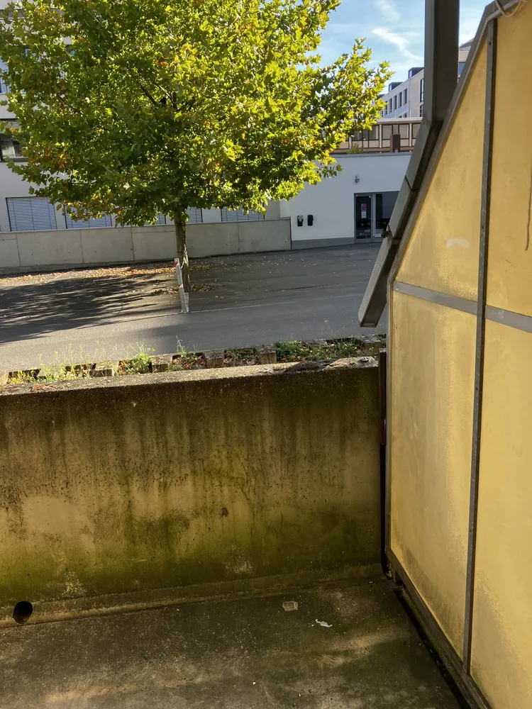 1 room apartment with 24 m² in Darmstadt – Photo 3