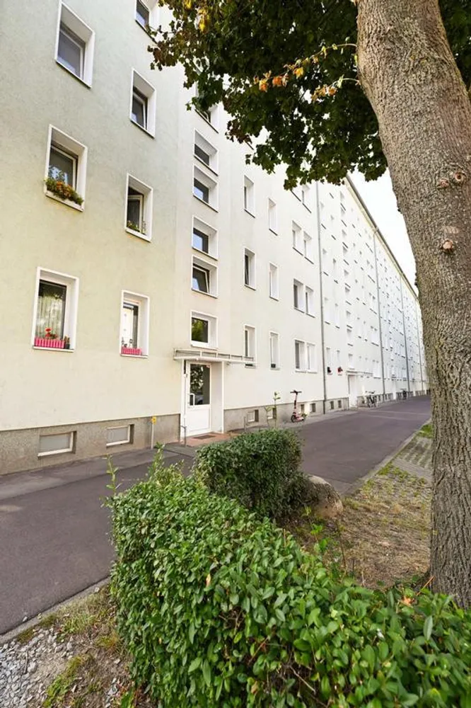 3 room apartment with 60 m² in Magdeburg – Photo 9