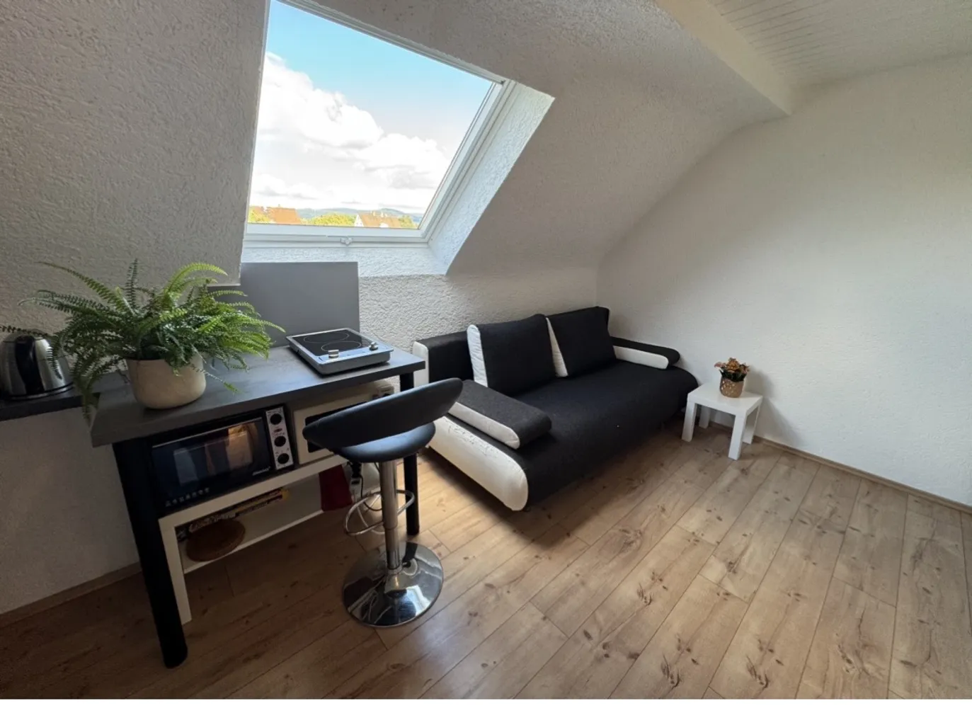 1 Zimmer Wohnung mit 16 m² in Heidelberg – Bild 1