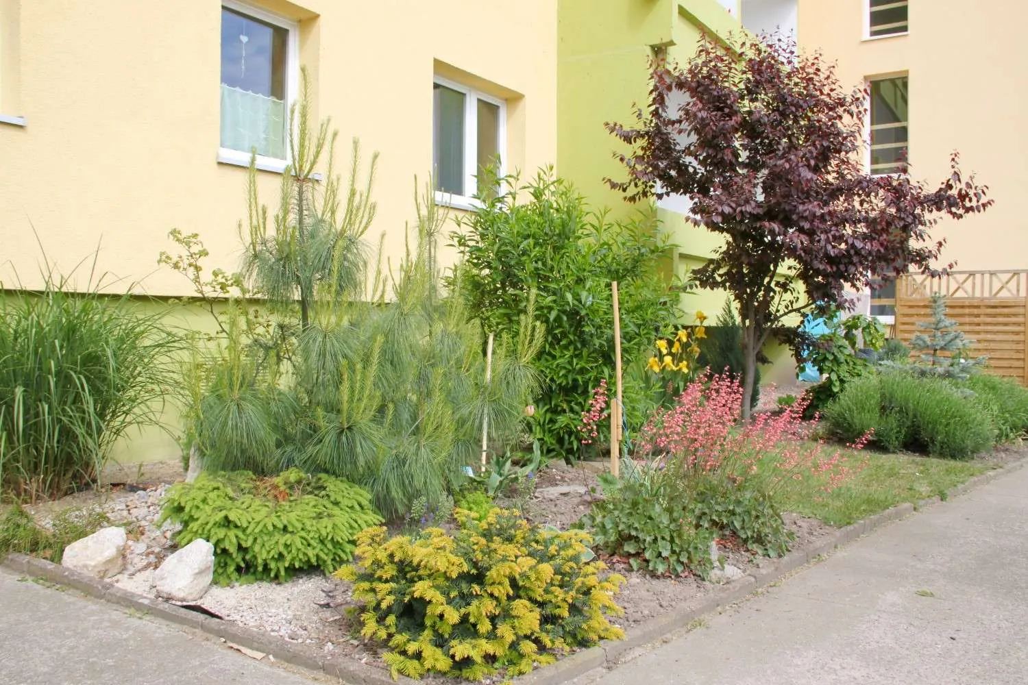 1 Zimmer Wohnung mit 30 m² in Halle (Saale) – Bild 2