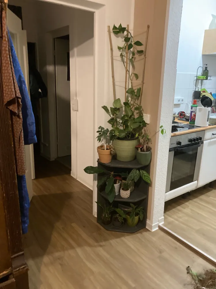 2 Zimmer Wohnung mit 46 m² in Dresden – Bild 2