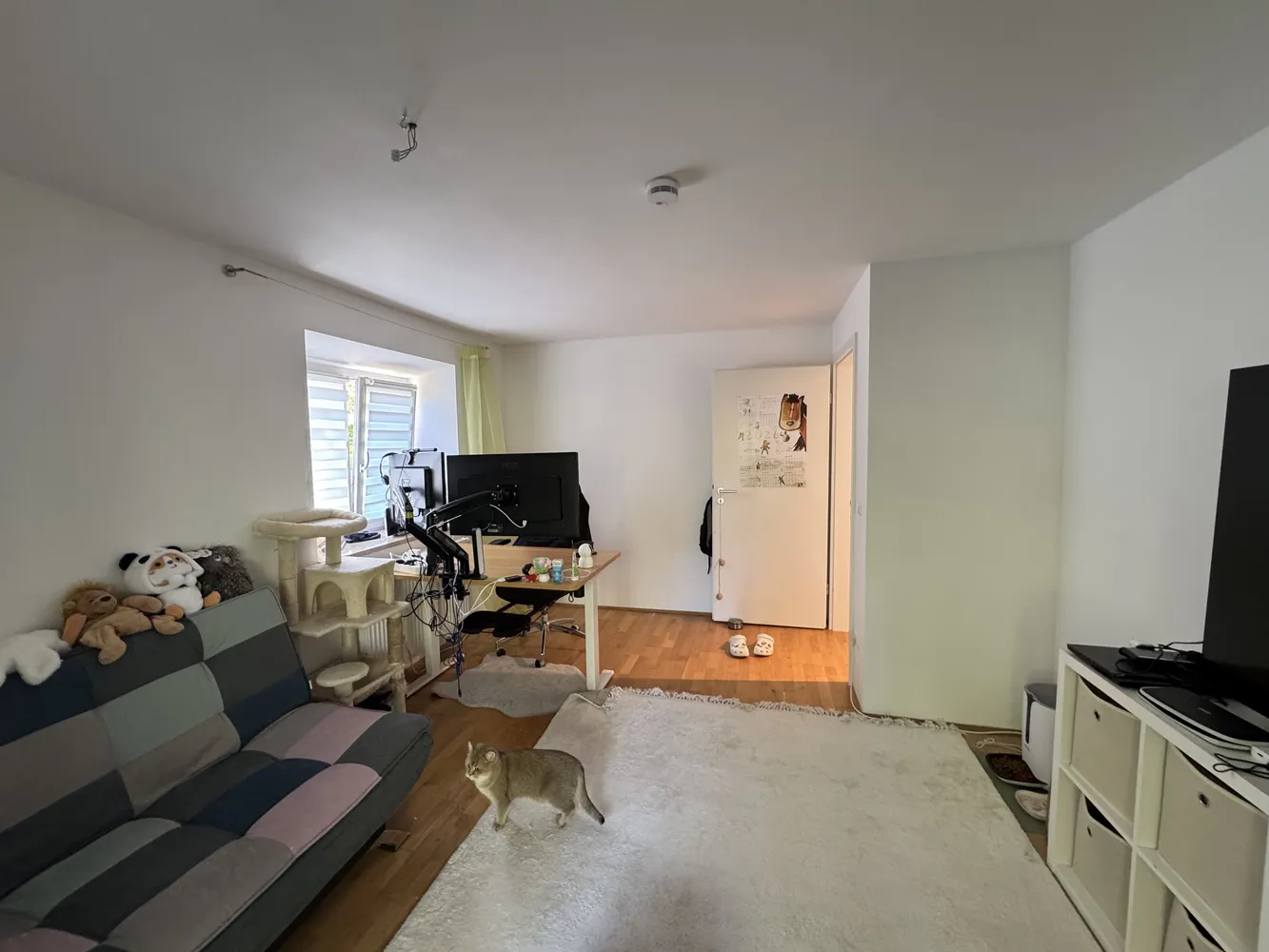 2 room apartment with 54 m² in Regensburg – Photo 8