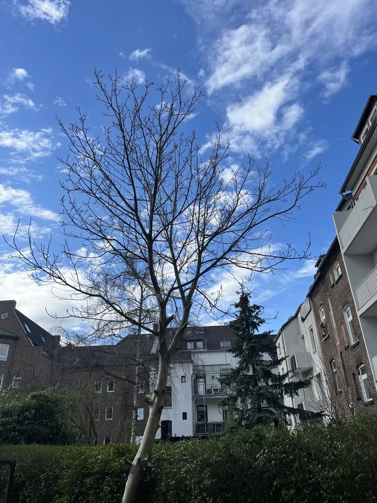 2 room apartment with 50 m² in Düsseldorf – Photo 8