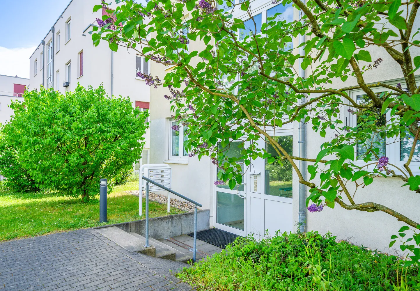 2 Zimmer Wohnung mit 69 m² in Dresden – Bild 3
