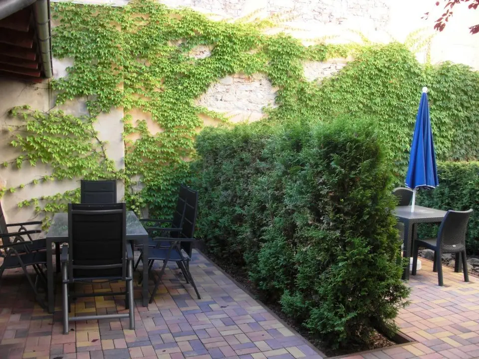 2 Zimmer Wohnung mit 30 m² in Zittau – Bild 7