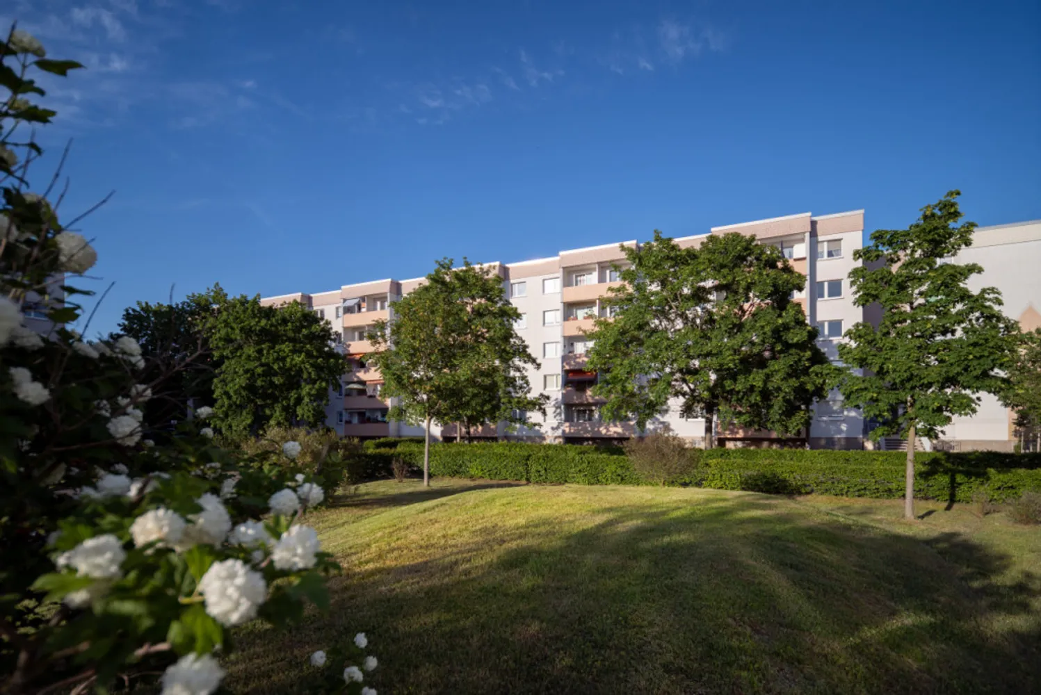 3 Zimmer Wohnung mit 57 m² in Halle (Saale) – Bild 1