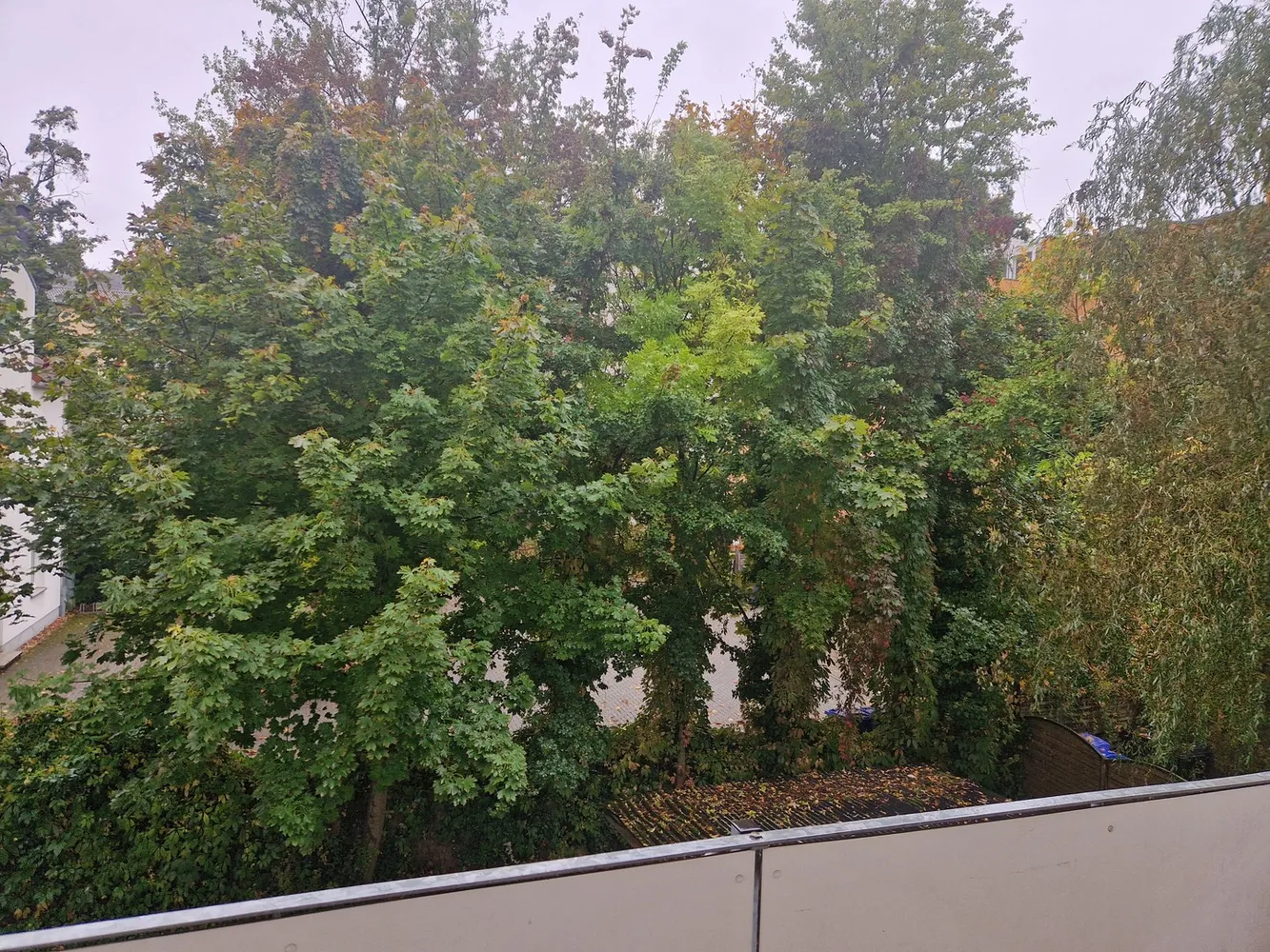 2 room apartment with 56 m² in Magdeburg – Photo 3