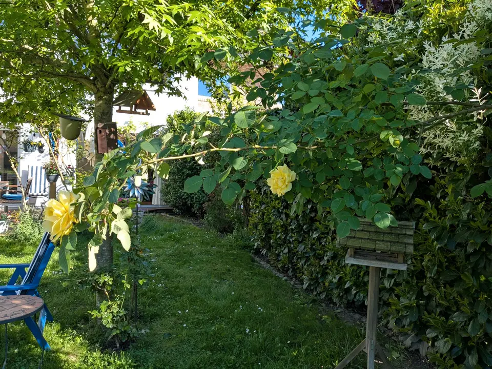WG-Zimmer mit 190 m² in Bornheim – Bild 5