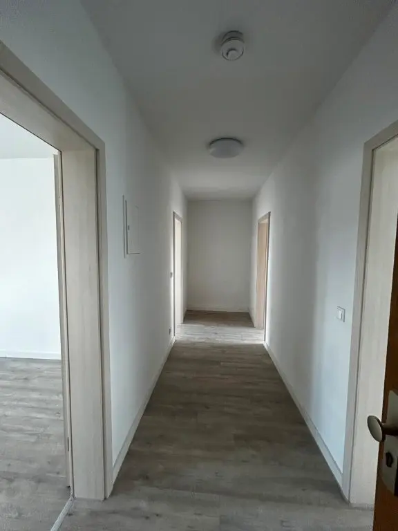 2 Zimmer Wohnung mit 56 m² in Zwickau – Bild 5