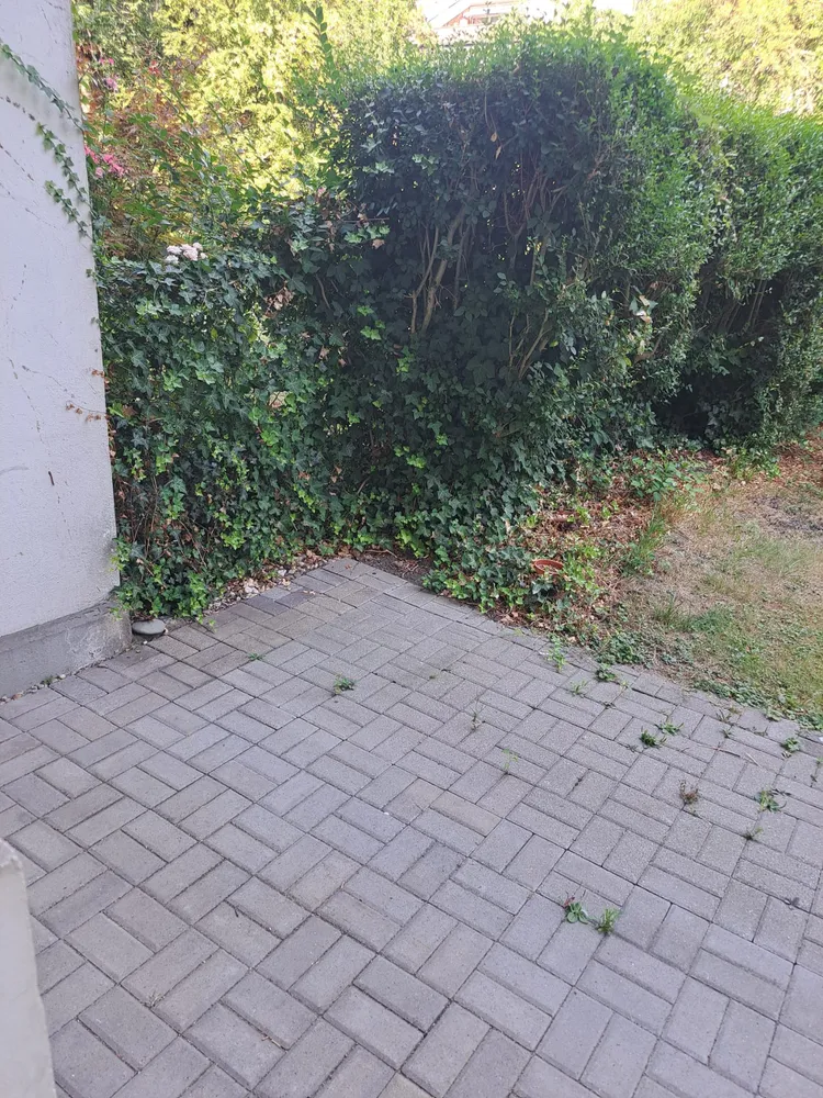 2 Zimmer Wohnung mit 55 m² in Essen – Bild 10