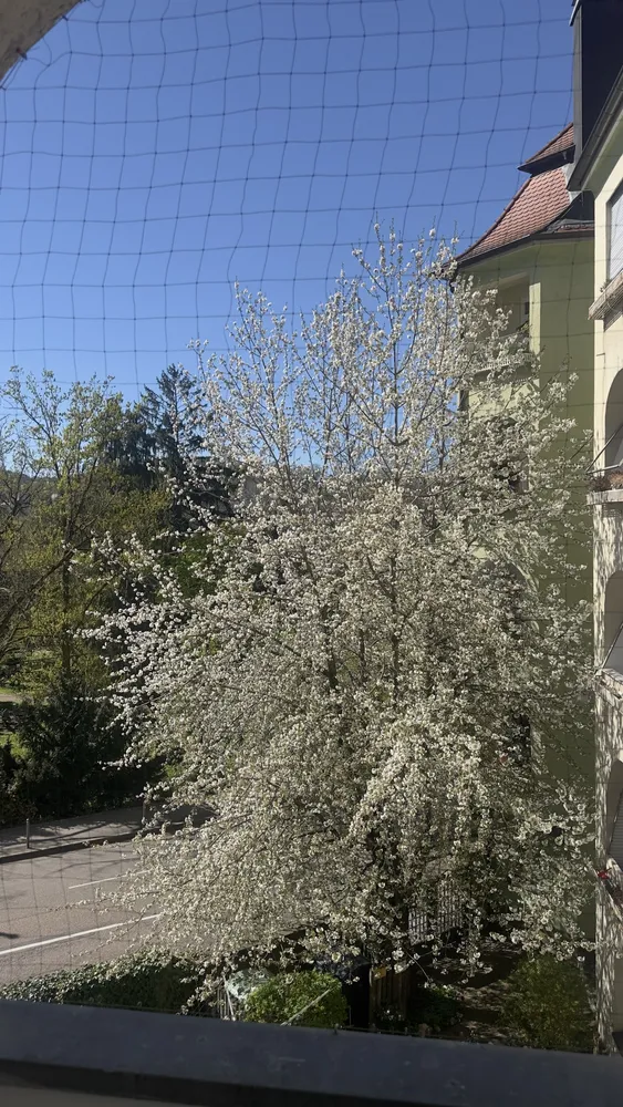 3 Zimmer Wohnung mit 70 m² in Stuttgart – Bild 4