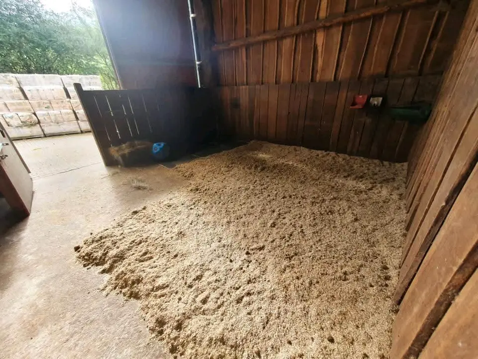 2 Zimmer Wohnung mit 40 m² in Siegen – Bild 10