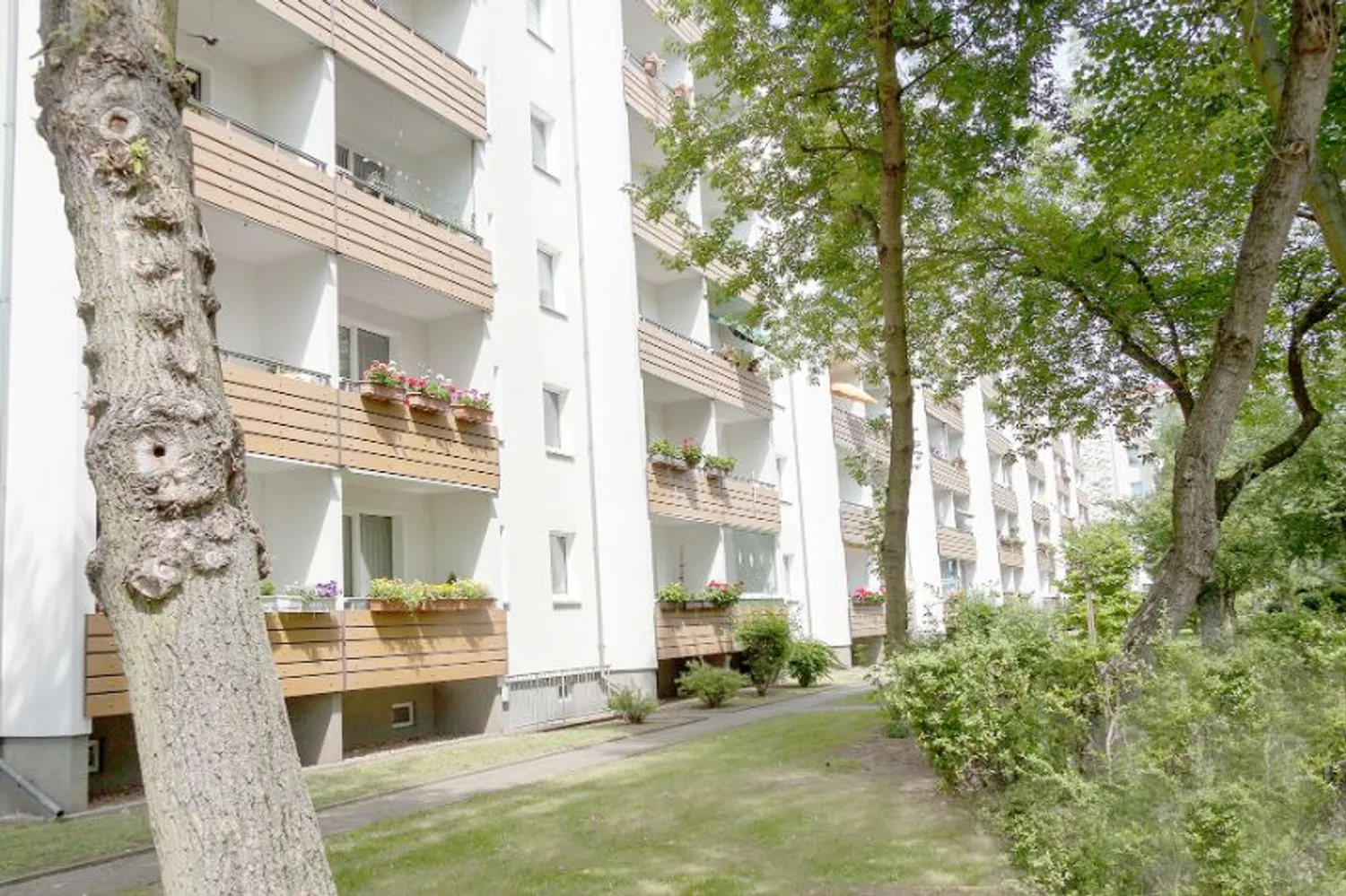 3 Zimmer Wohnung mit 57 m² in Magdeburg – Bild 8