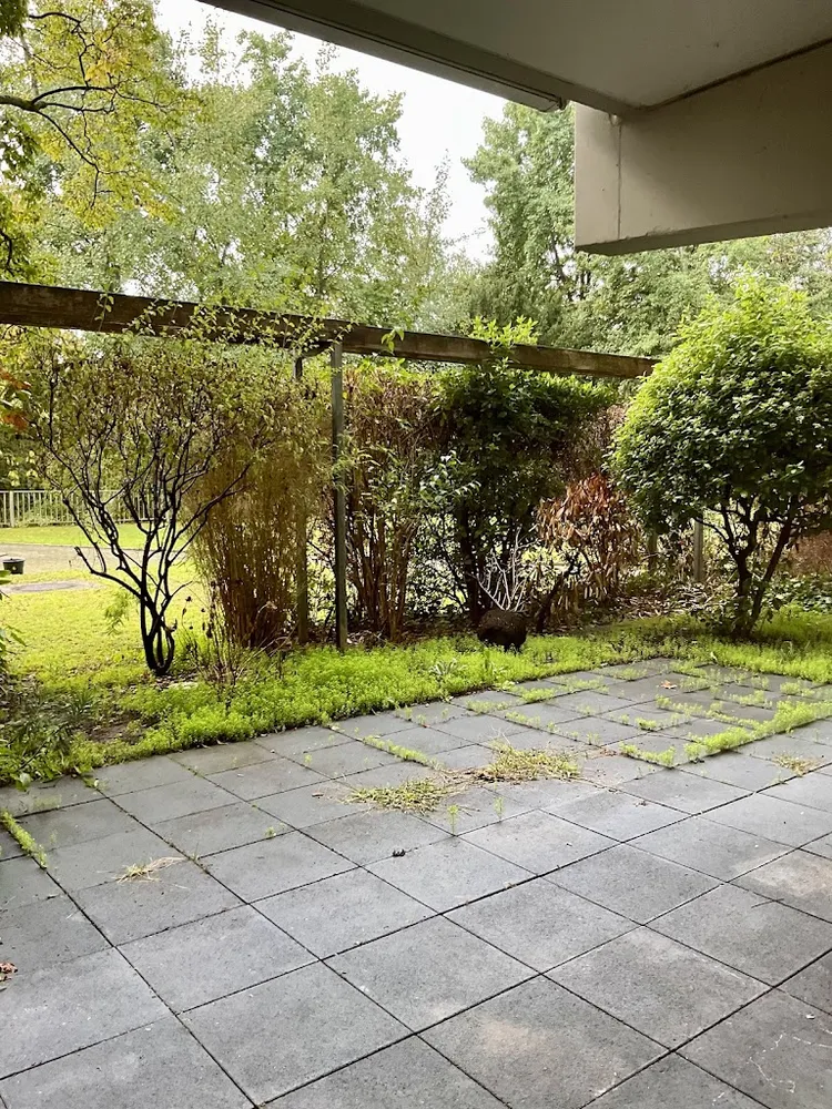 5 Zimmer Wohnung mit 129 m² in Köln – Bild 7