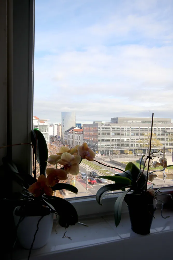 3 Zimmer Wohnung mit 76 m² in Hannover – Bild 4