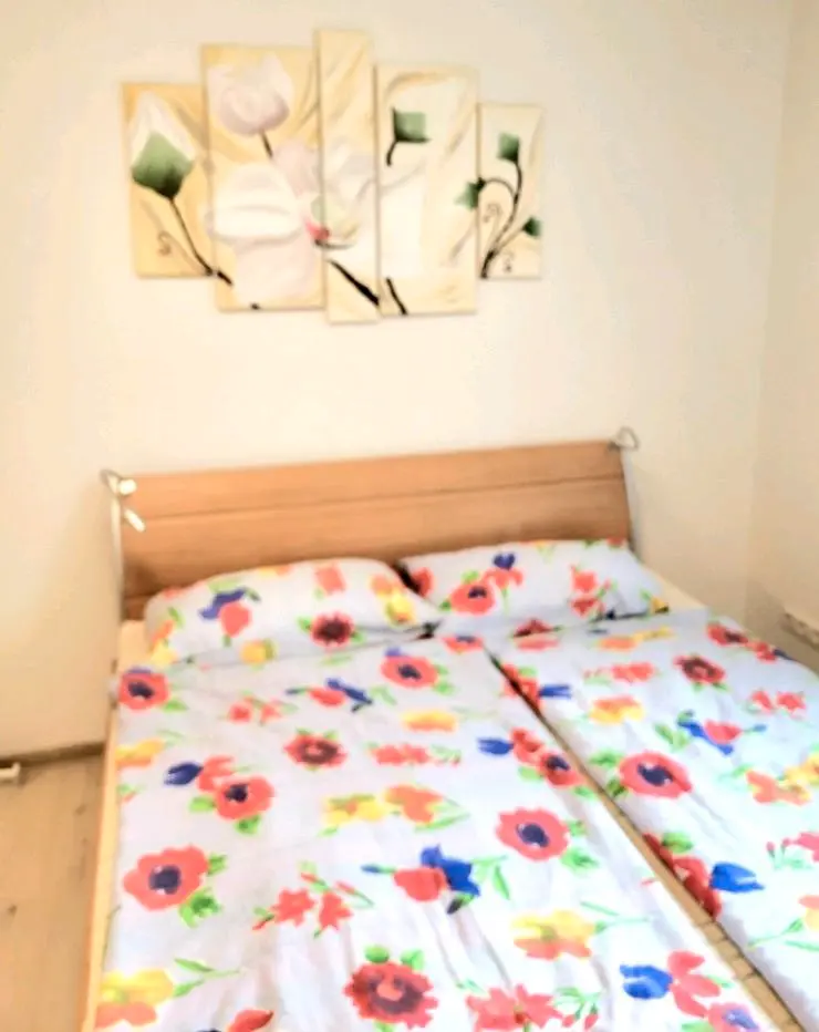 2 Zimmer Wohnung mit 50 m² in Lahr/Schwarzwald – Bild 2