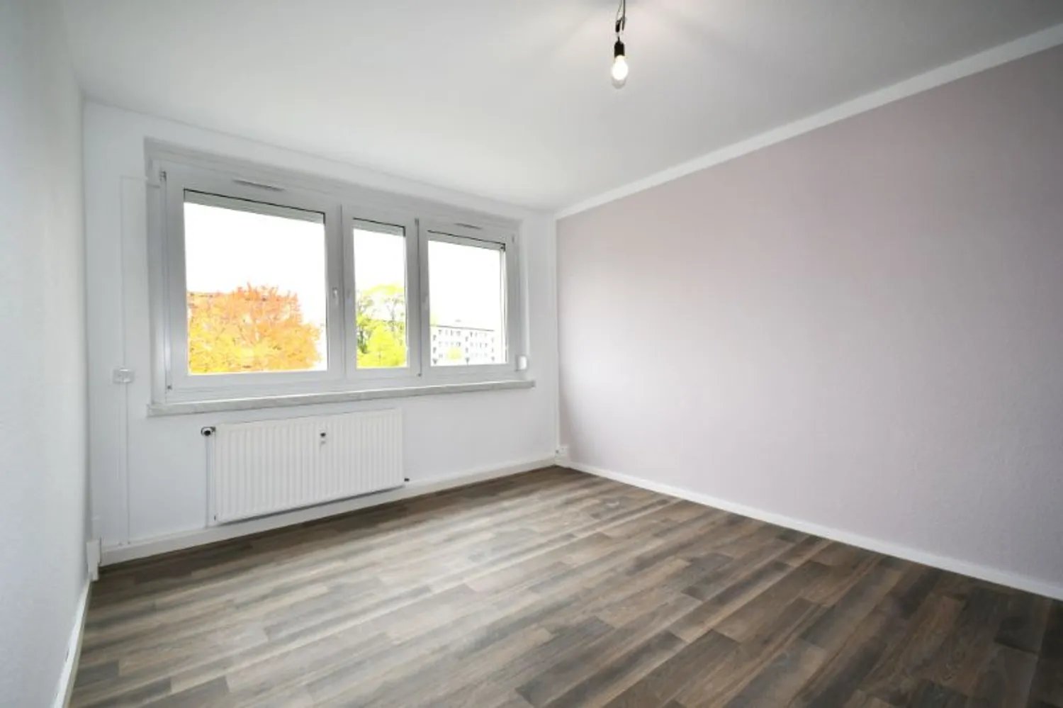 2 room apartment with 48 m² in Riesa – Photo 6