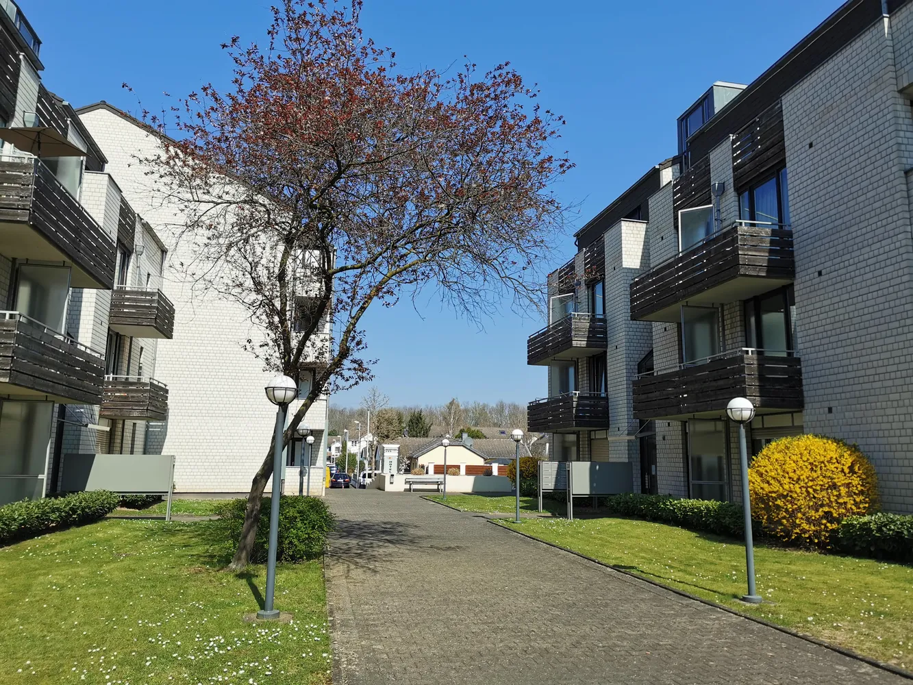 1 Zimmer Wohnung mit 23 m² in Bonn – Bild 1