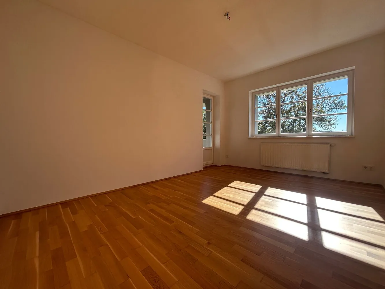 2 room apartment with 57 m² in Dresden – Photo 6