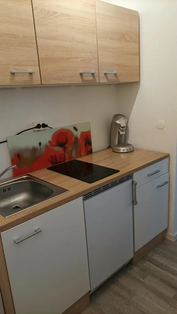 1 room apartment with 25 m² in Radebeul – Photo 4