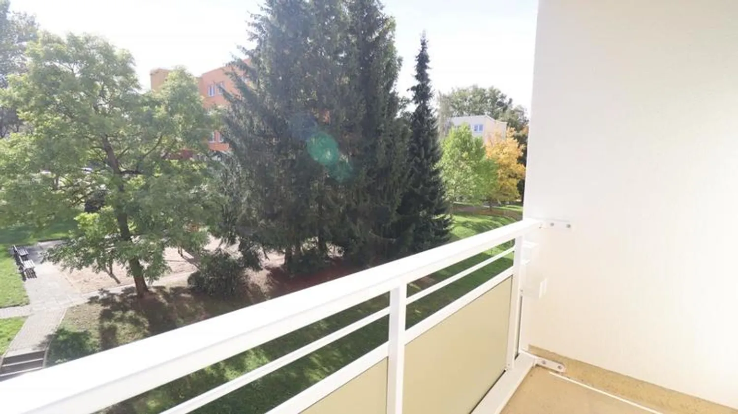 2 room apartment with 45 m² in Chemnitz – Photo 2