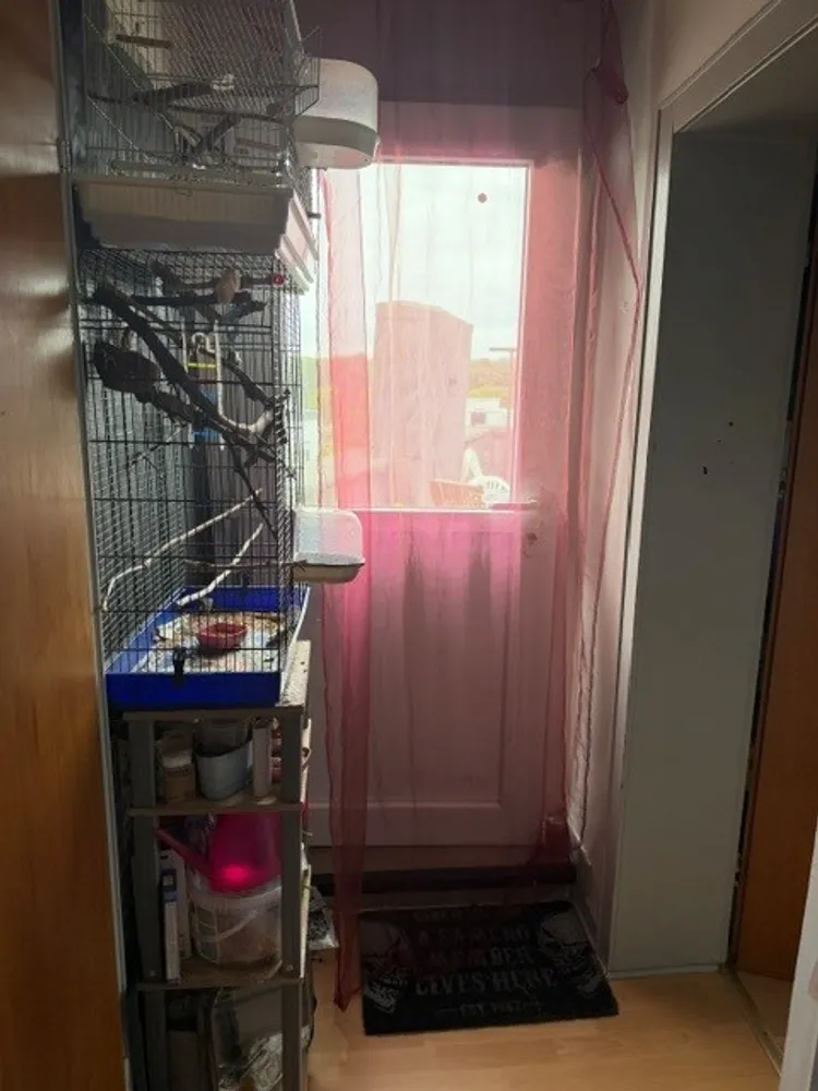 1 room apartment with 28 m² in Aachen – Photo 6