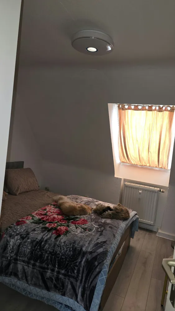 2 room apartment with 40 m² in Pirmasens – Photo 1