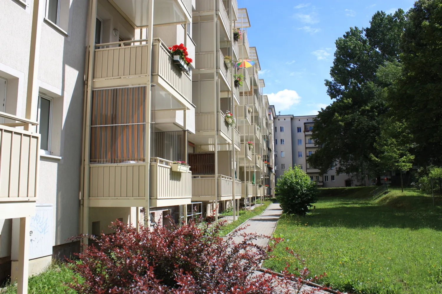 2 room apartment with 53 m² in Chemnitz – Photo 1