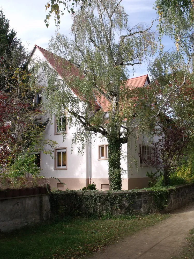 3 Zimmer Wohnung mit 87 m² in Darmstadt – Bild 2