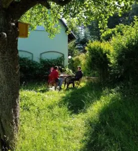 WG-Zimmer mit 220 m² in Pirna – Bild 6