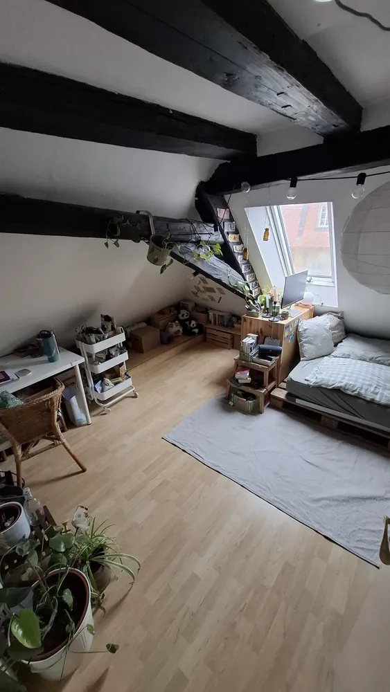 3 Zimmer Wohnung mit 75 m² in Bamberg – Bild 6