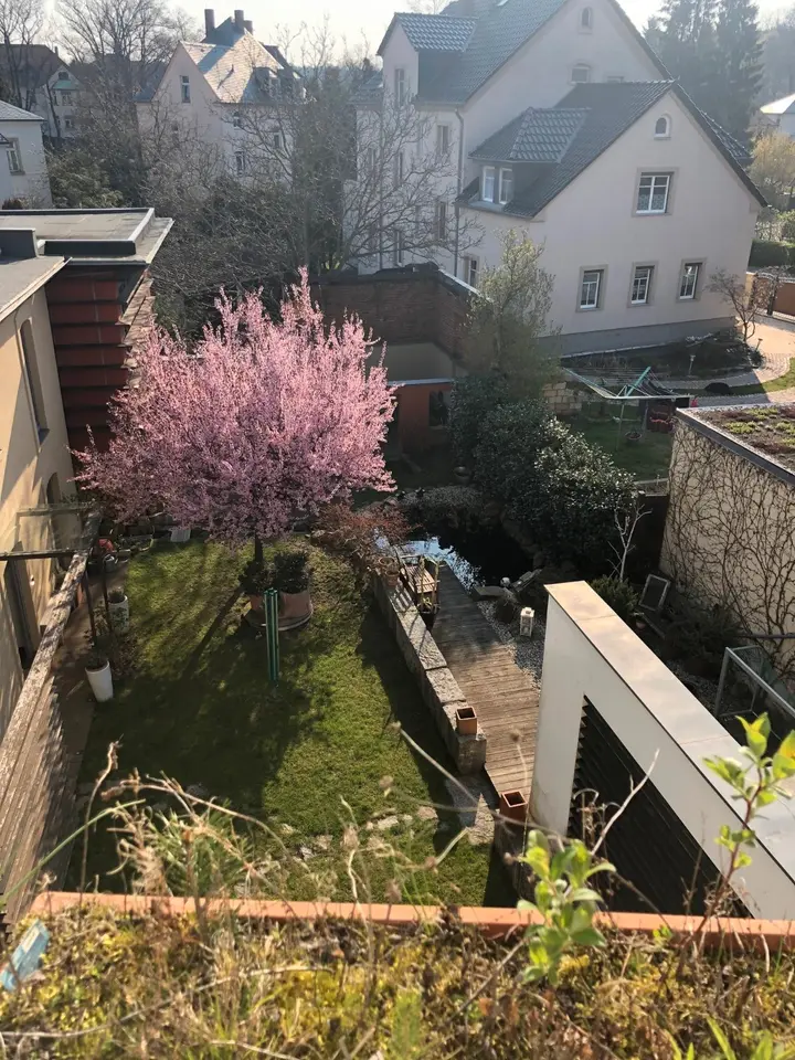2 Zimmer Wohnung mit 50 m² in Dresden – Bild 5