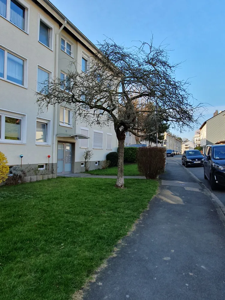 3 Zimmer Wohnung mit 65 m² in Wuppertal – Bild 1