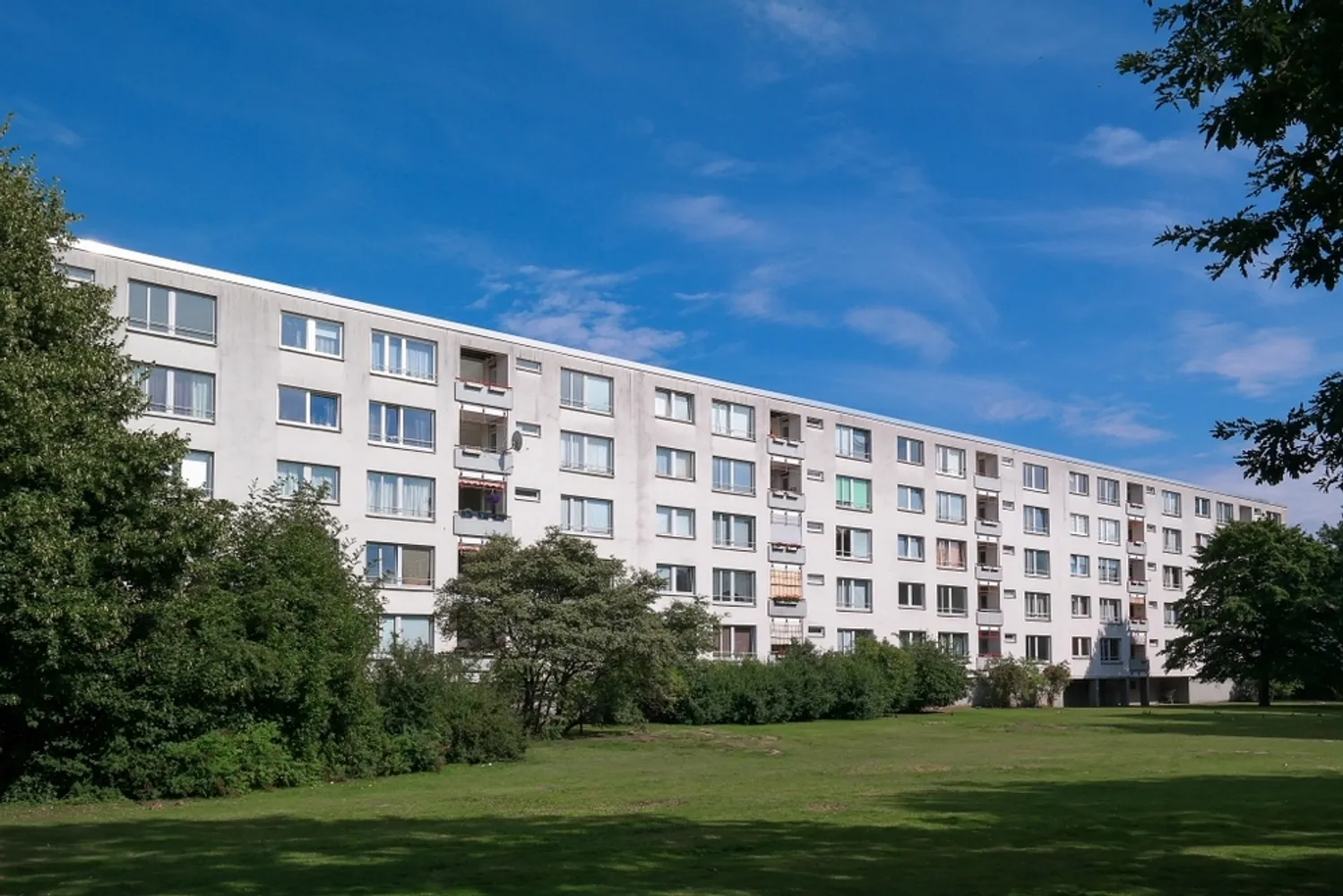 3 Zimmer Wohnung mit 72 m² in Wolfsburg – Bild 4