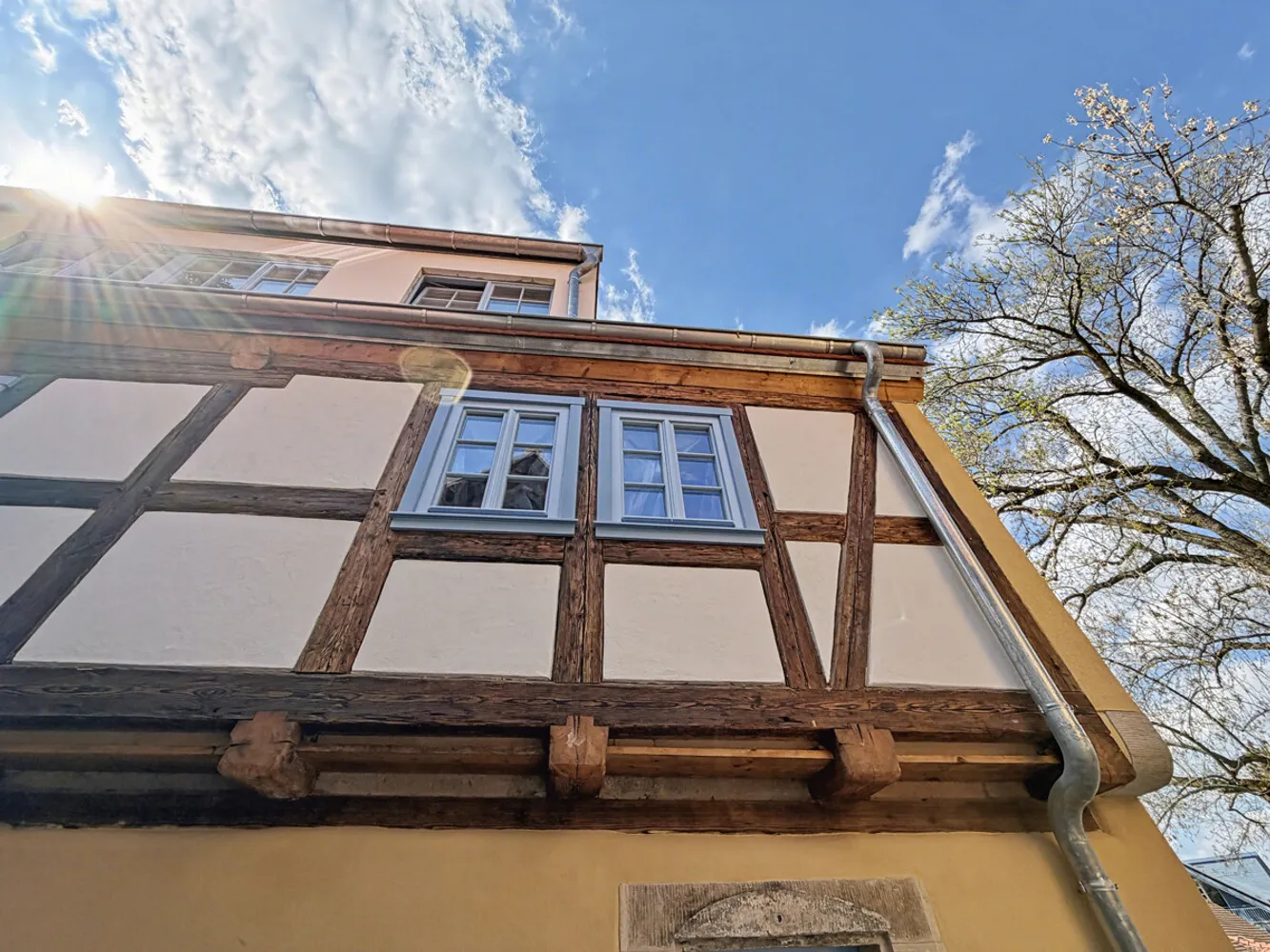 8 Zimmer Wohnung mit 217 m² in Dresden – Bild 4