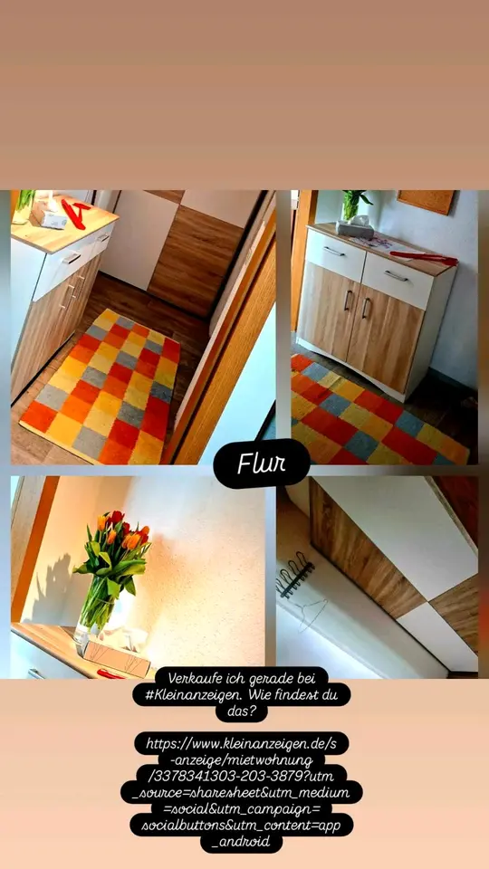 2 room apartment with 45 m² in Chemnitz – Photo 4
