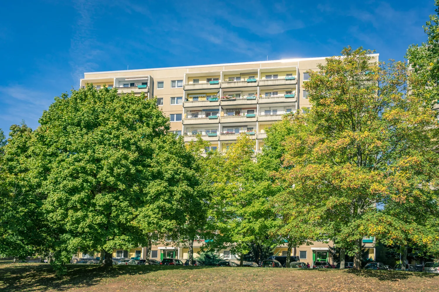 3 Zimmer Wohnung mit 70 m² in Chemnitz – Bild 6