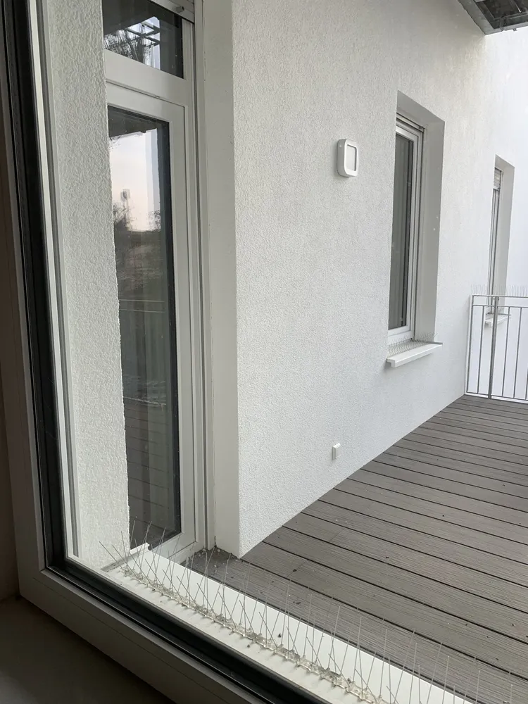 3 Zimmer Wohnung mit 135 m² in Wiesbaden – Bild 8
