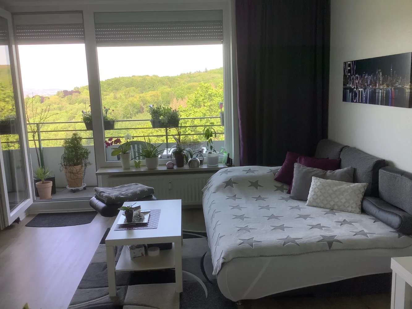 1 Zimmer Wohnung mit 30 m² in Wuppertal – Bild 1
