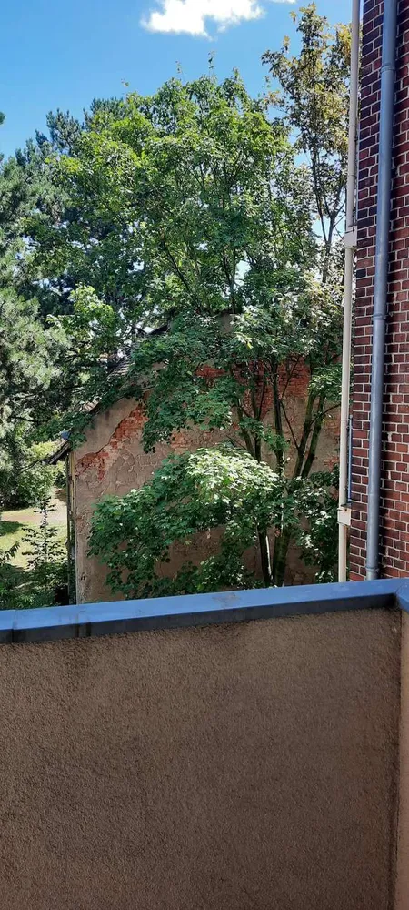 2 Zimmer Wohnung mit 66 m² in Leipzig – Bild 8