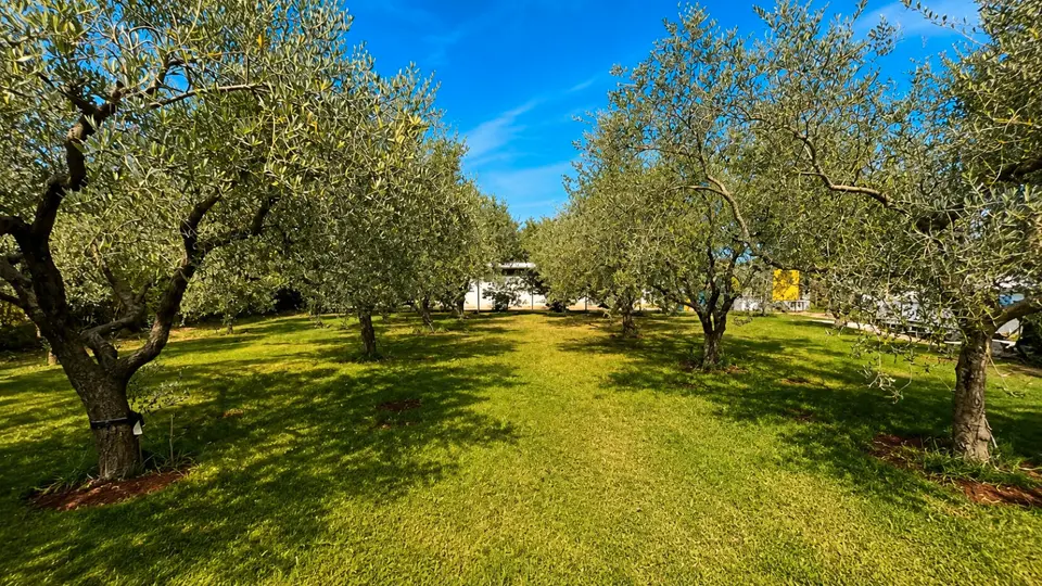 6 Zimmer Haus mit 145 m² in Regensburg – Bild 4
