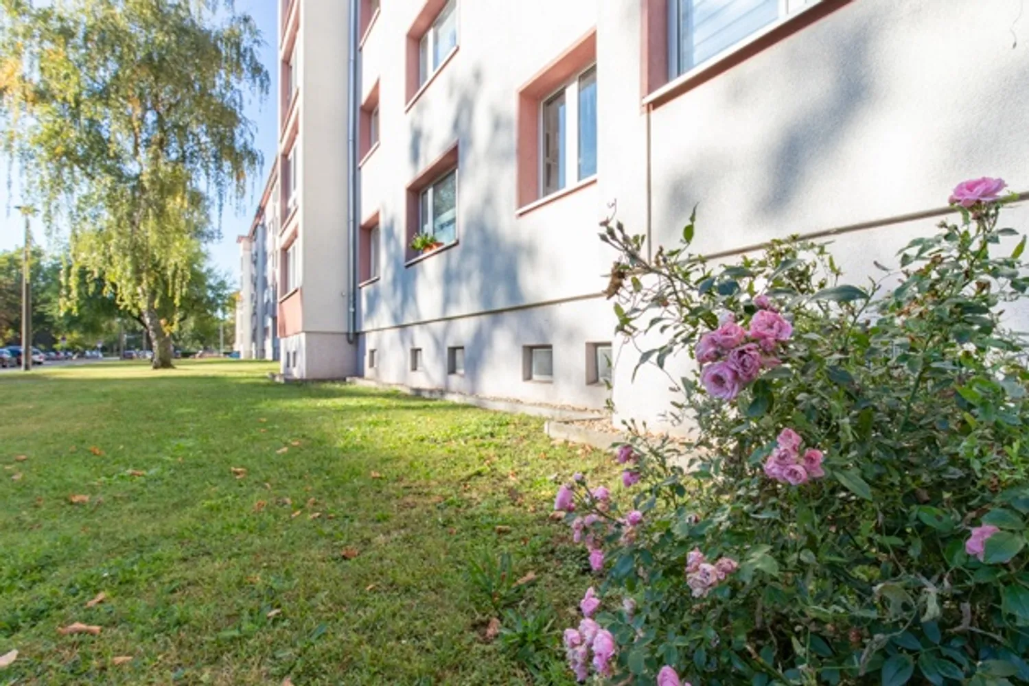 2 room apartment with 49 m² in Magdeburg – Photo 2