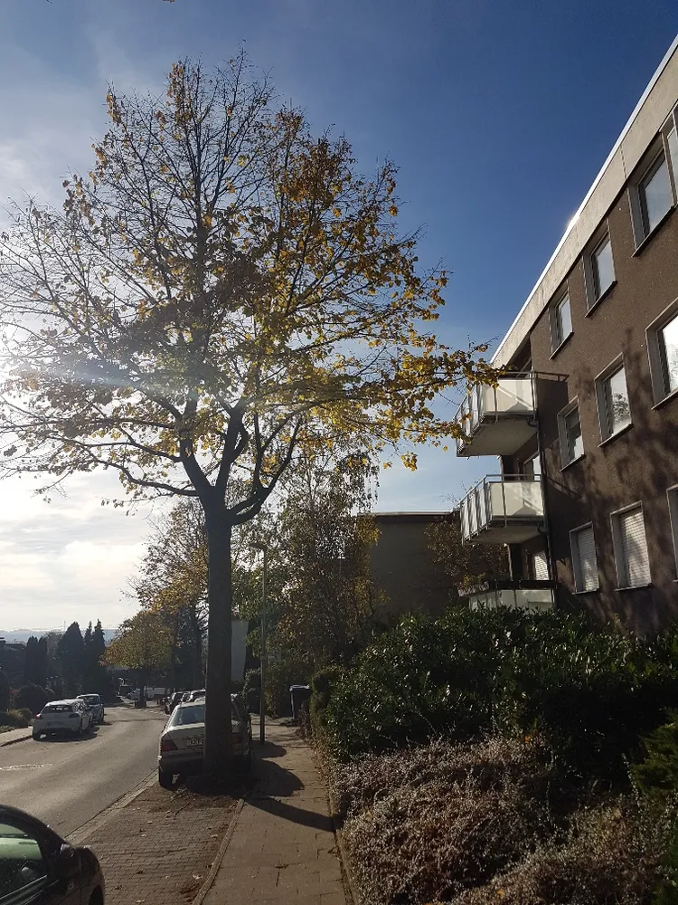 2 Zimmer Wohnung mit 61 m² in Bochum – Bild 1
