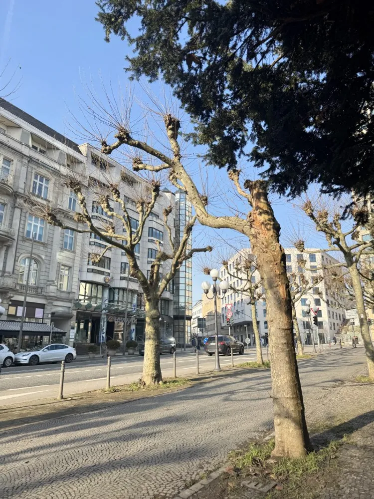8 Zimmer Wohnung mit 250 m² in Wiesbaden – Bild 2
