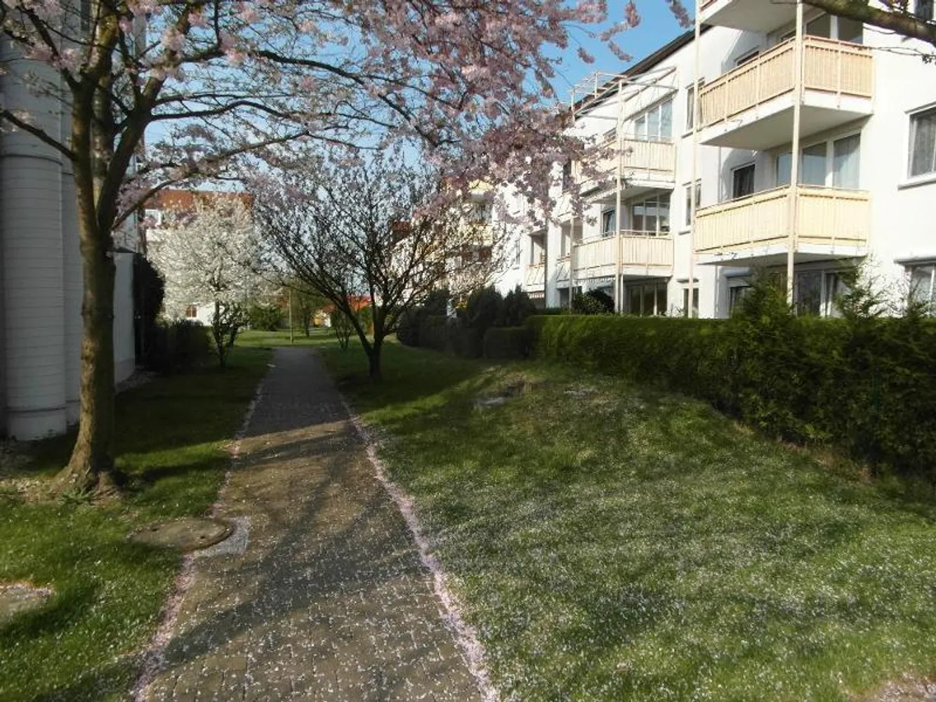 2 Zimmer Wohnung mit 51 m² in Leipzig – Bild 3