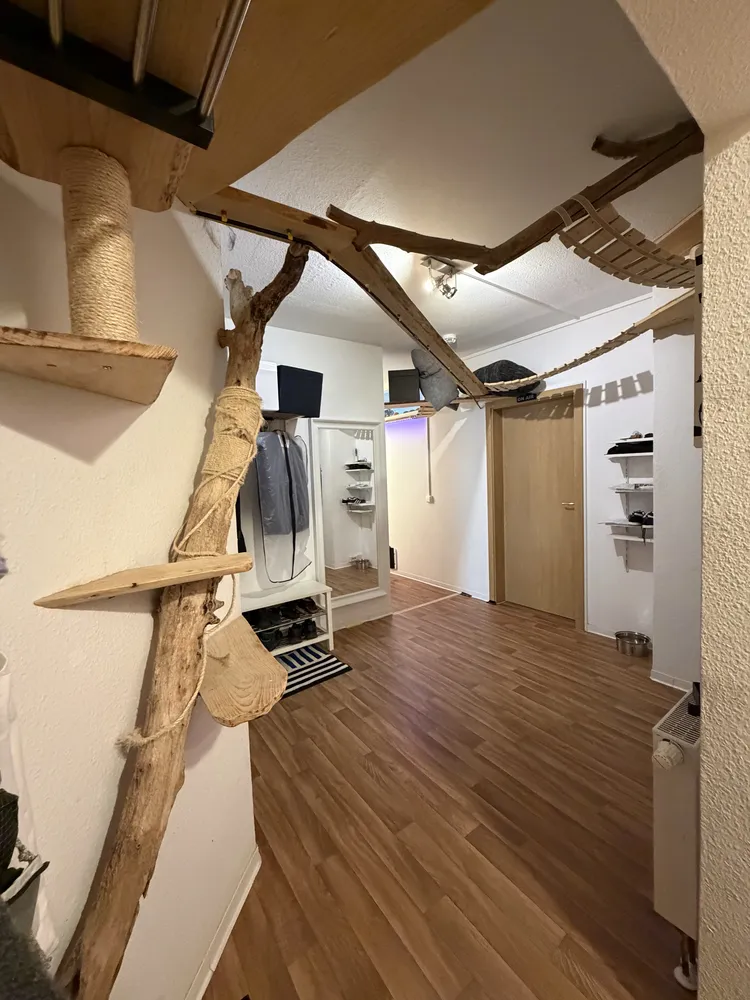 5 Zimmer Wohnung mit 126 m² in Chemnitz – Bild 5