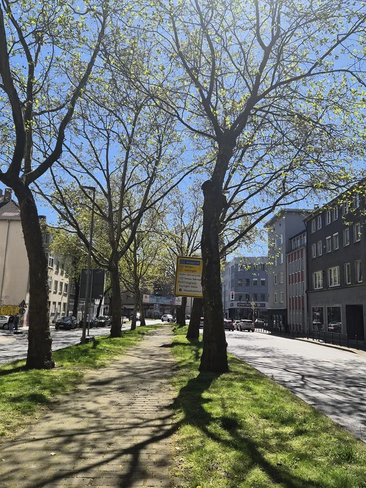3 Zimmer Wohnung mit 66 m² in Bochum – Bild 3
