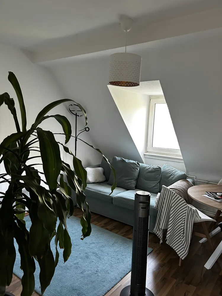3 Zimmer Wohnung mit 55 m² in Ludwigshafen am Rhein – Bild 2