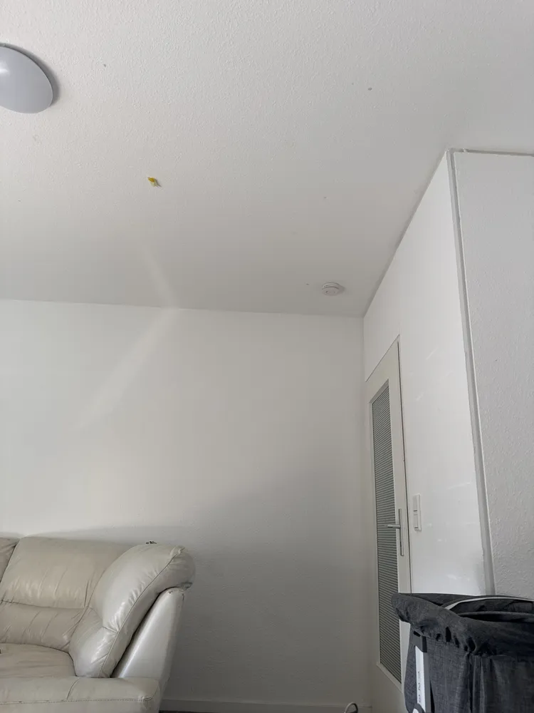 1 Zimmer Wohnung mit 20 m² in Bergisch Gladbach – Bild 2