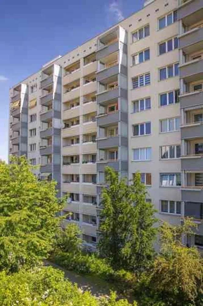 3 Zimmer Wohnung mit 80 m² in Dresden – Bild 2